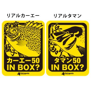 画像11: IN BOX ステッカー