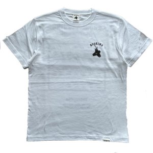 画像10: ショアT 