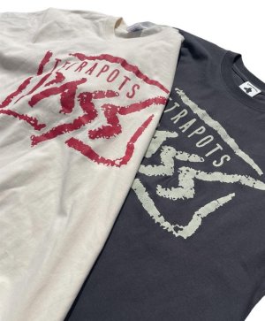 画像1: Tetra PASS Tee 