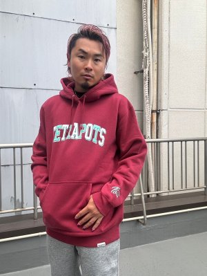 画像1: Tetra Team Hoodie