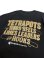 画像24: Tetrapots Cloting Tee（Goldシリーズ限定カラー）