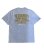 画像19: Tetrapots Cloting Tee（Goldシリーズ限定カラー）