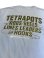 画像20: Tetrapots Cloting Tee（Goldシリーズ限定カラー）