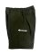 画像9: Terta Cargo Shorts