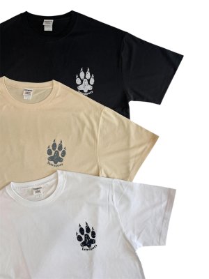 画像9: Tetra tiger Tee