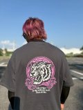 Tetra tiger Tee