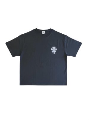 画像18: Tetra tiger Tee