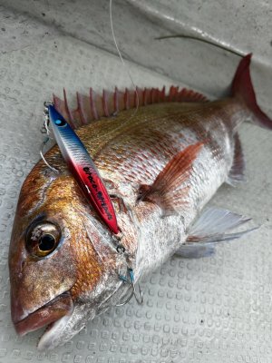 画像2: uroco×Tetrapots Collavo Jig Short 180g Limited Color 