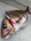 画像2: uroco×Tetrapots Collavo Jig Short 180g Limited Color  (2)