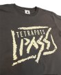 画像8: Tetra PASS Tee (8)