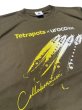 画像9: uroco×Tetrapots Collavo jig Dry Tee (9)