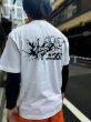 画像2: uroco×Tetrapots Collavo Squid Tee (2)