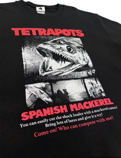 画像14: SAWARA SWT (14)