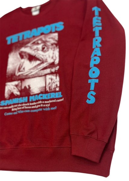 画像9: SAWARA SWT (9)