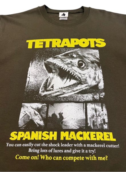 画像18: SAWARA SWT (18)