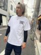 画像3: Tetrapots Cloting Tee（Goldシリーズ限定カラー） (3)
