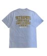 画像19: Tetrapots Cloting Tee（Goldシリーズ限定カラー） (19)