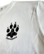 画像11: Tetra tiger Tee (11)
