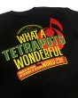 画像19: MONGOL800 ga Festival WWW25!!×Tetrapots Collabo Tee※通常発送専用 (19)