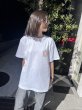 画像4: MONGOL800 ga Festival WWW25!!×Tetrapots Collabo Tee※通常発送専用 (4)
