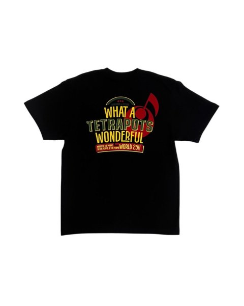 画像18: MONGOL800 ga Festival WWW25!!×Tetrapots Collabo Tee※通常発送専用 (18)