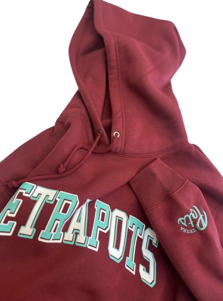 画像9: TEAM　Hoodie (9)